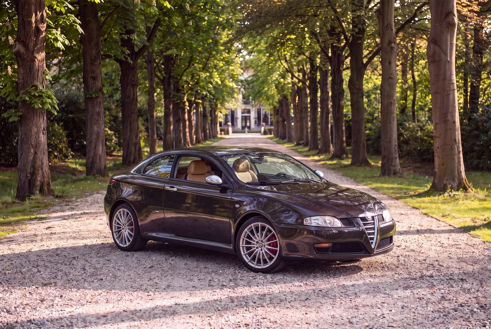 Alfa Romeo GT (2006) — foto 85