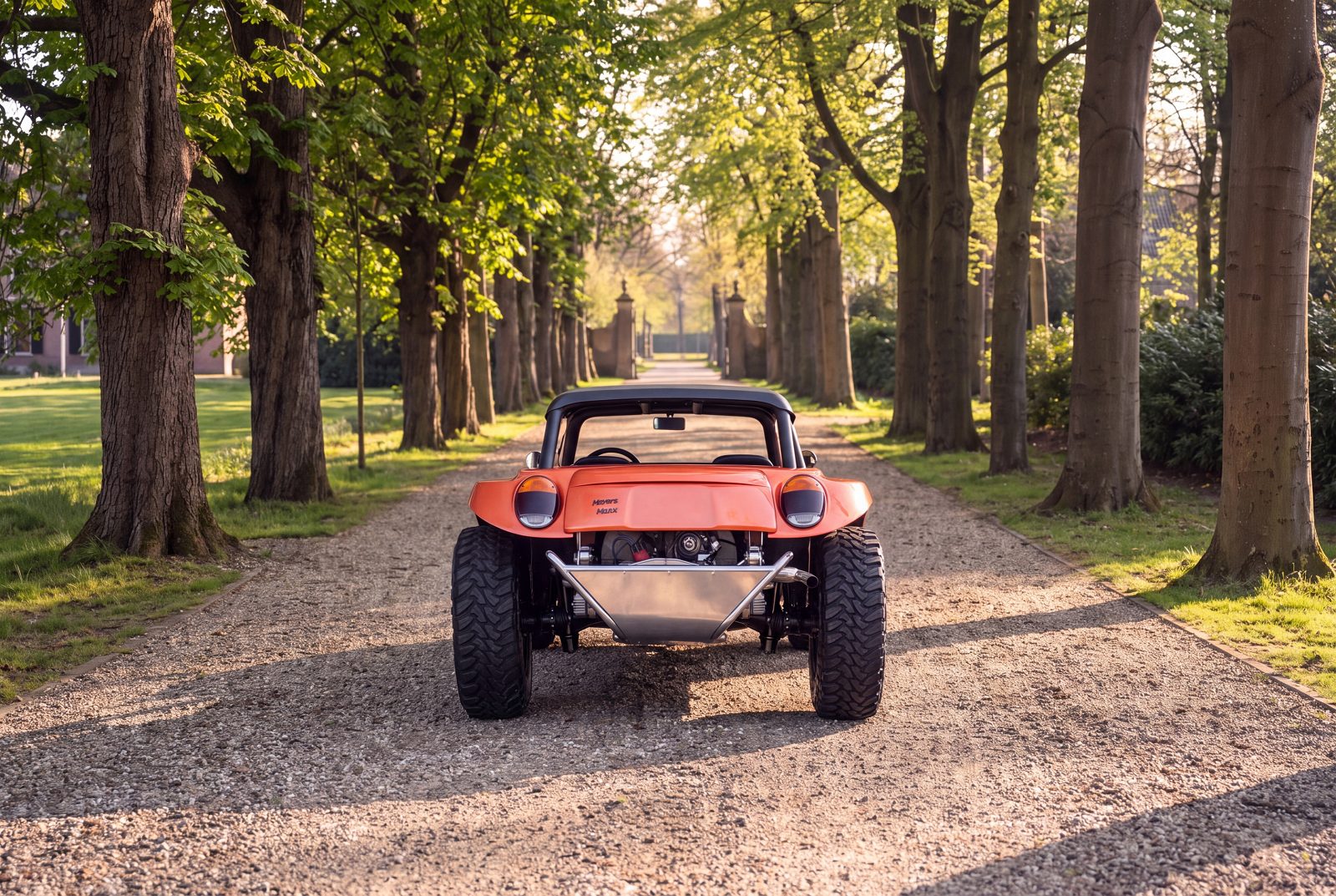 Volkswagen Buggy (1969) — foto 77