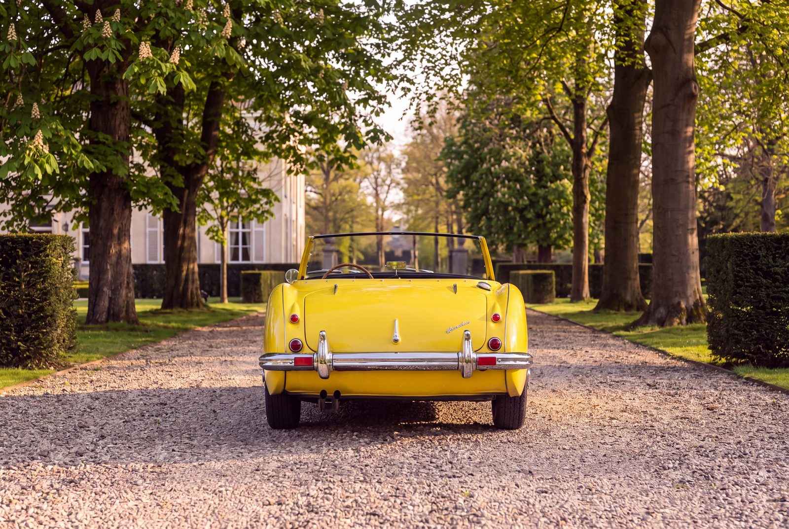 Austin Healey 100 (1957) — foto 95