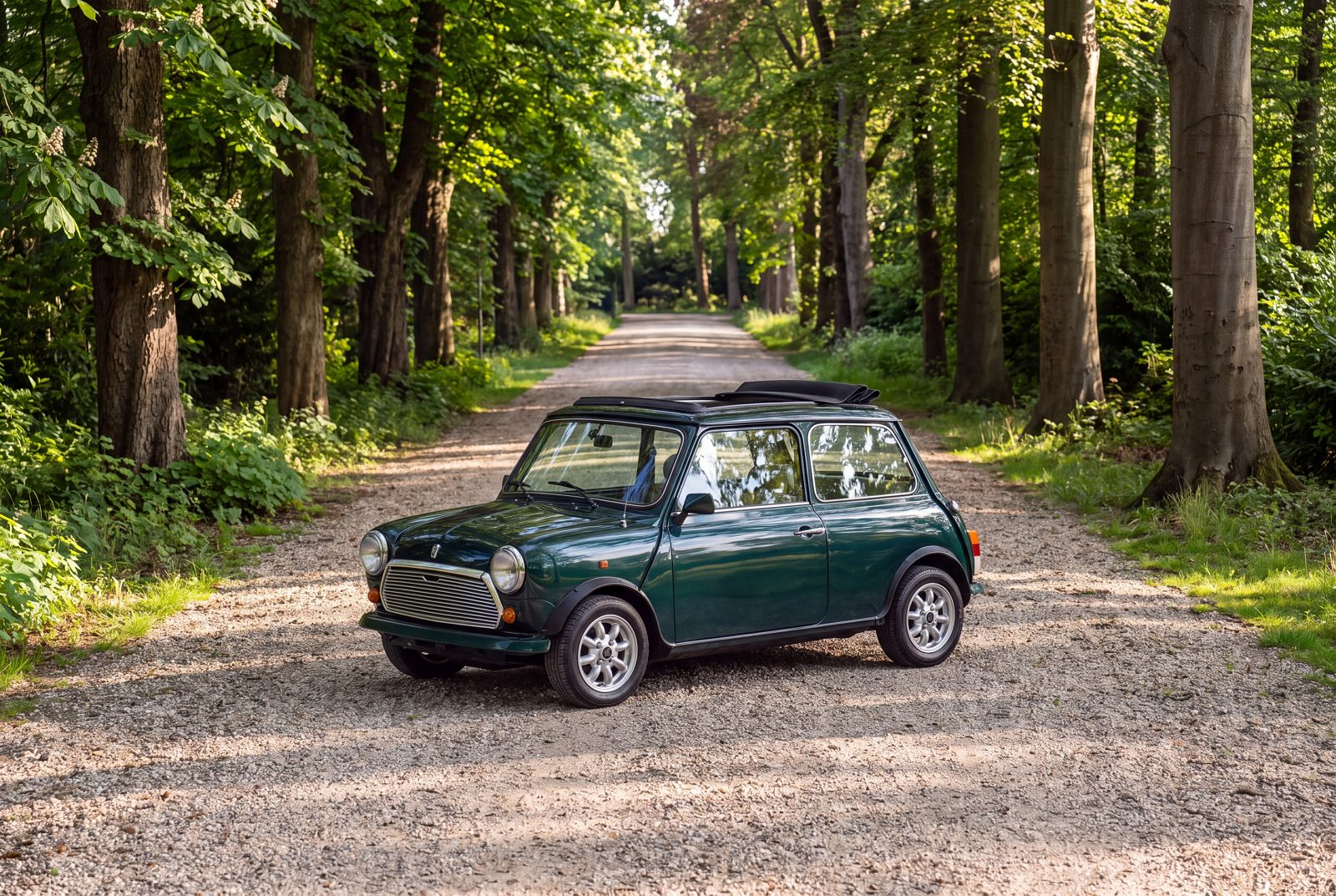 Rover Mini (1994) — photo 69