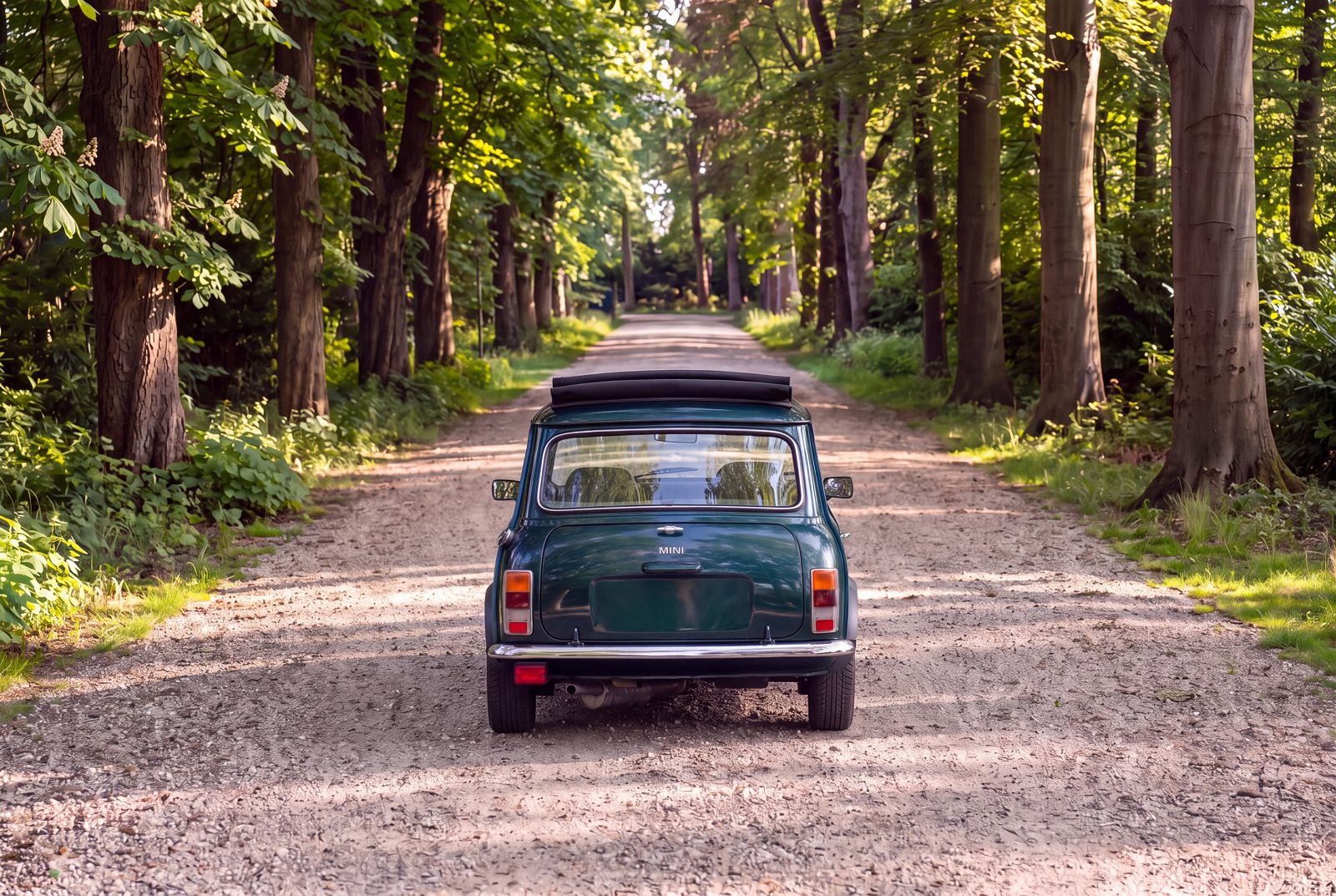 Rover Mini (1994) — photo 70