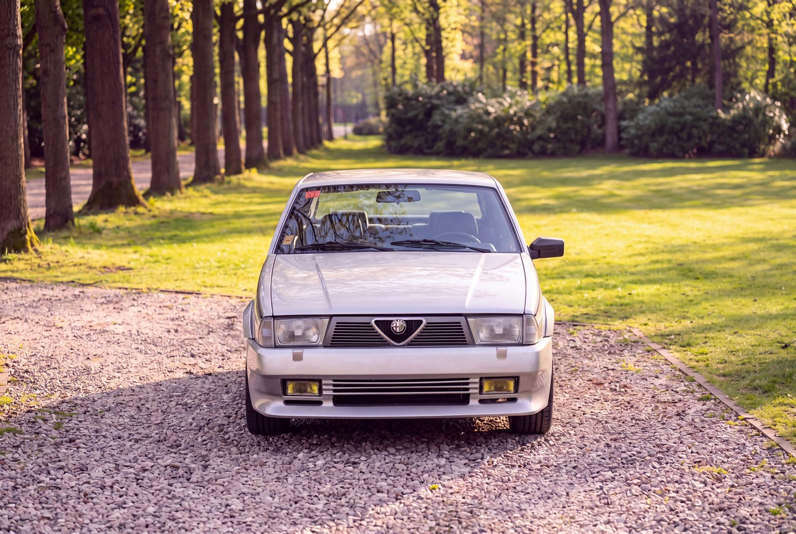 Alfa Romeo 75 (1988) — foto 101